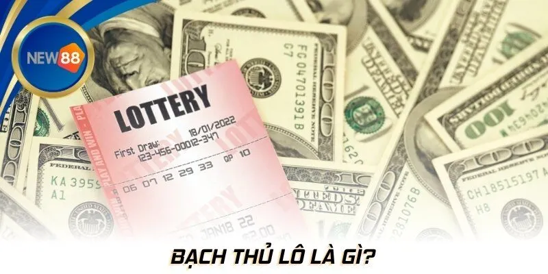 Bạch thủ lô là gì?