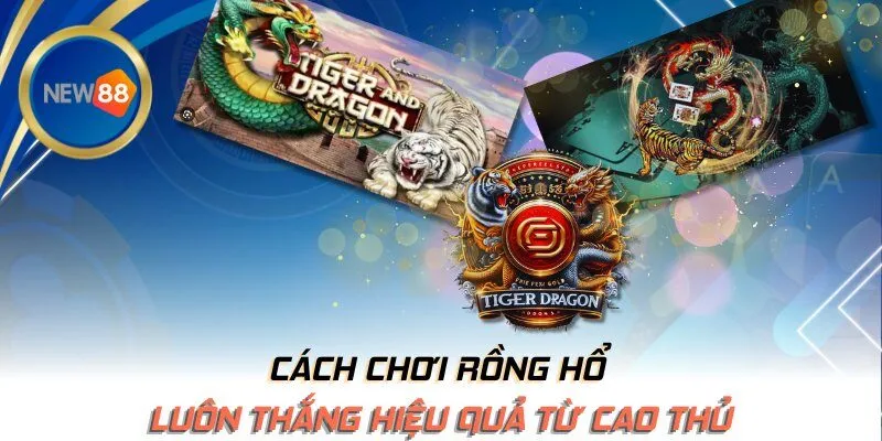 Cách chơi luôn thắng hiệu quả từ cao thủ