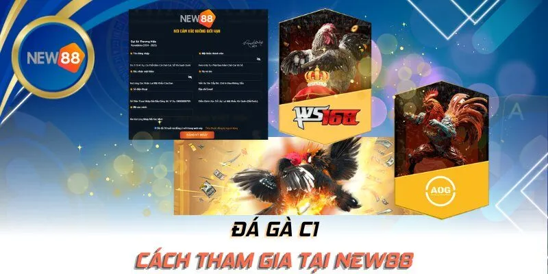 Cách tham gia chơi tại NEW88