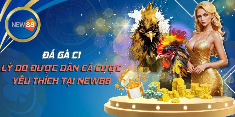 Đá Gà C1 Tại NEW88 Và Lý Do Được Dân Cá Cược Yêu Thích