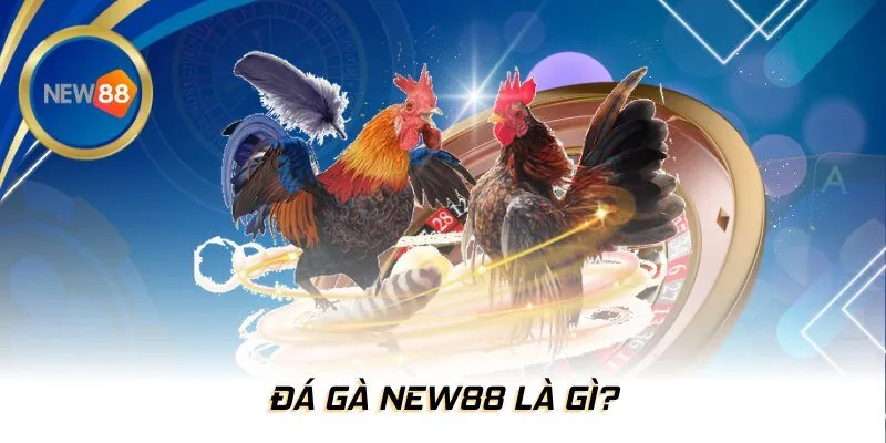 Đá gà NEW88 là gì?