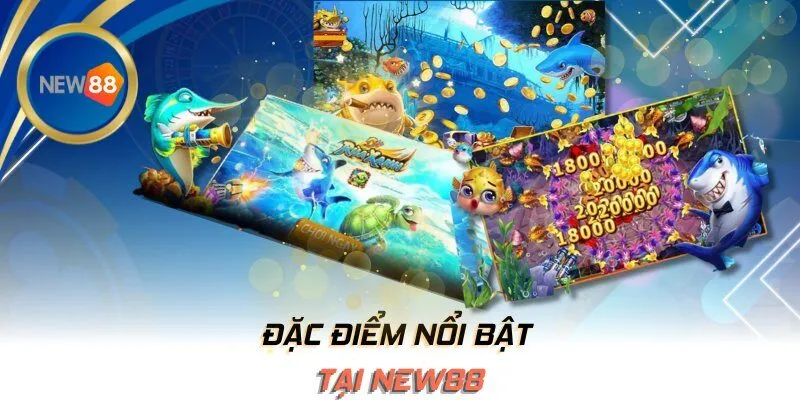 Đặc điểm nổi bật