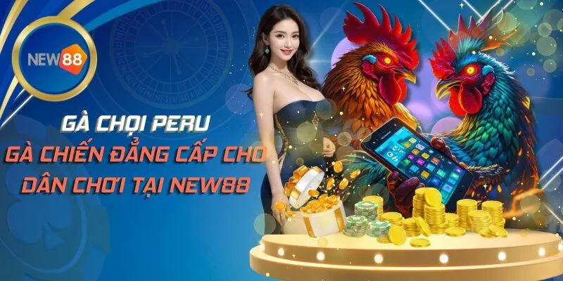 Gà Chọi Peru - Gà Chiến Đẳng Cấp Cho Dân Chơi Tại NEW88
