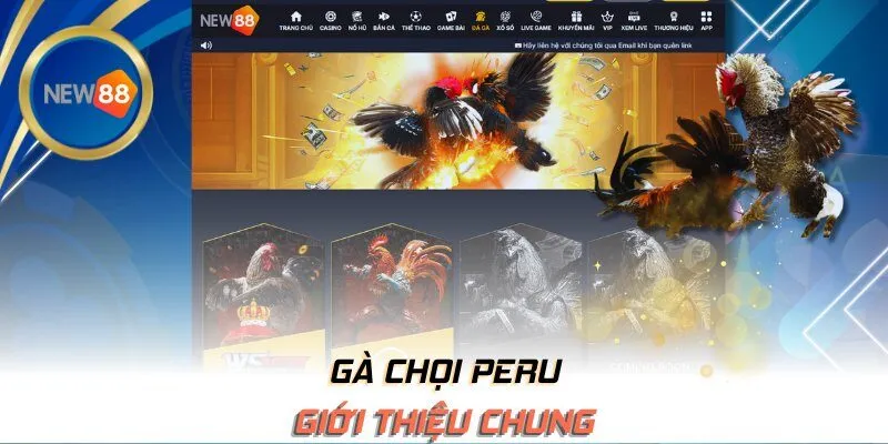 Giới thiệu chung