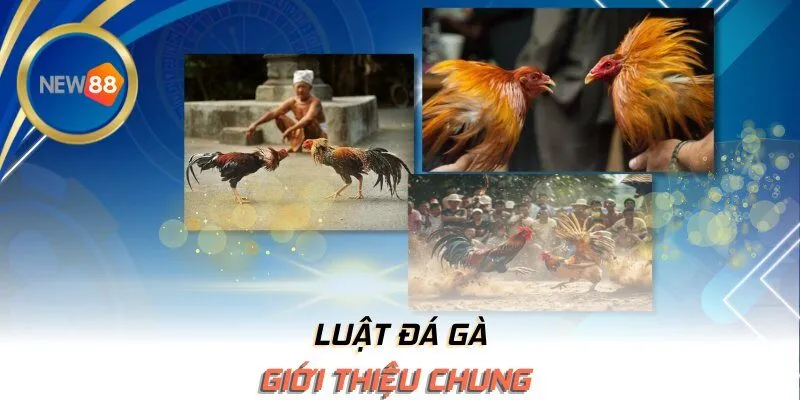 Giới thiệu chung
