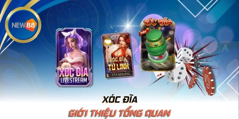 Giới thiệu tổng quan