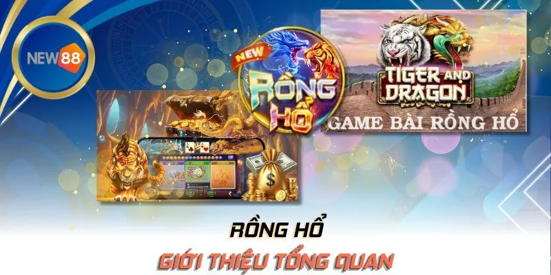 Giới thiệu tổng quan