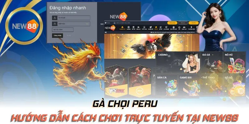 Hướng dẫn cách chơi trực tuyến