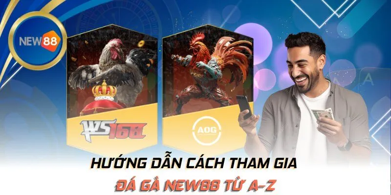 Hướng dẫn cách tham gia đá gà NEW88 từ A–Z