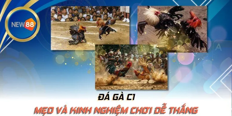 Mẹo và kinh nghiệm chơi dễ thắng
